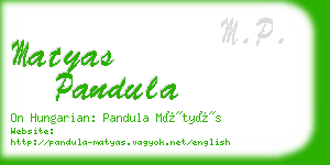 matyas pandula business card